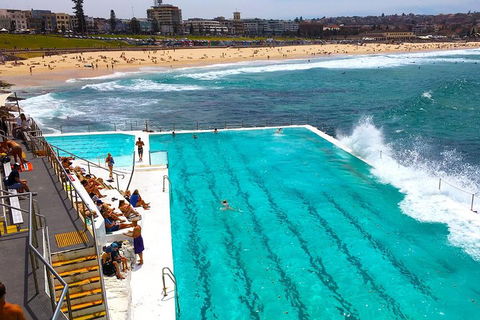 Private Sydney Half Day Tour Including Sydney Opera House And Bondi Beach - Accommodation Sydney 1