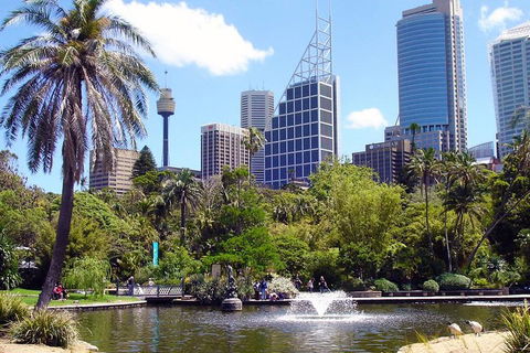 Private Sydney Half Day Tour Including Sydney Opera House And Bondi Beach - Accommodation Sydney 4