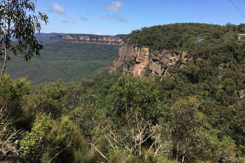 Full-Day Private Blue Mountains Tour With River Cruise - Sydney 4u 1