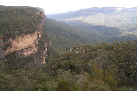 Full-Day Private Blue Mountains Tour With River Cruise - Sydney 4u 3