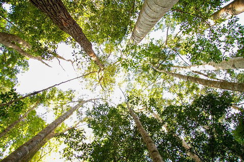 Fraser Island 4WD Tour From Noosa - Sydney 4u 0