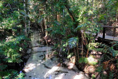 Fraser Island 4WD Tour From Rainbow Beach - Accommodation Sydney 0