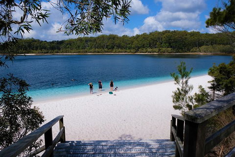 Fraser Island 4WD Tour From Rainbow Beach - Accommodation Sydney 3