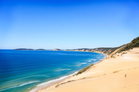 Kayak With Dolphins And 4WD Great Beach Drive Day Trip From Noosa - Accommodation Sydney 0