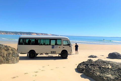 Kayak With Dolphins And 4WD Great Beach Drive Day Trip From Noosa - Accommodation Sydney 4