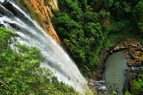 Rainforest & Waterfalls Extravaganza - Sydney 4u 1