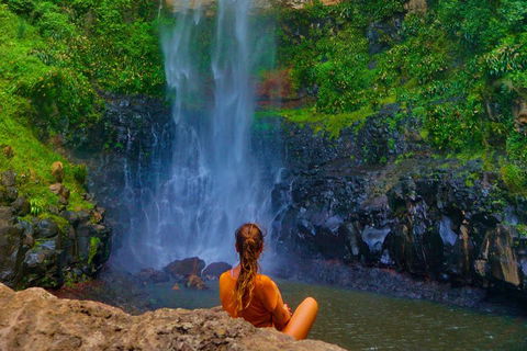 Rainforest & Waterfalls Extravaganza - Sydney 4u 2