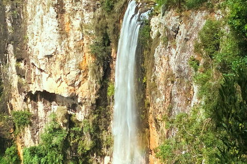 Rainforest & Waterfalls Extravaganza - Sydney 4u 3