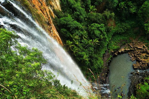 Natural Arch, Rainforest & Volcano Canyon - Private Half Day Tour - Sydney 4u 5