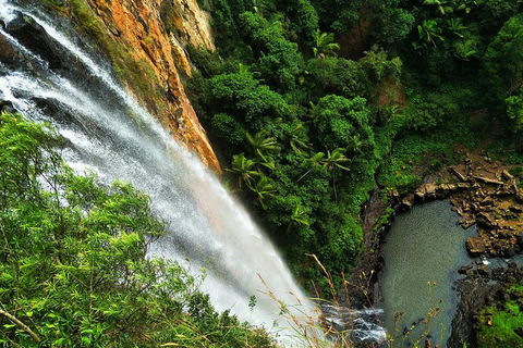 Private Tour - Rainforest & Waterfalls Extravaganza - Sydney 4u 2