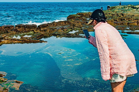 Sydney Private Tour Featuring Wilderness, Wildlife, Waves, Waterfalls And Wine - Accommodation Sydney 1