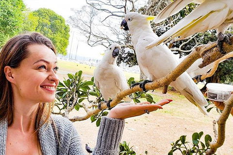 Sydney Private Tour Featuring Wilderness, Wildlife, Waves, Waterfalls And Wine - Accommodation Sydney 4