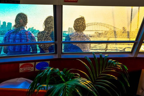 Sydney City Private Tour - Accommodation Sydney 1