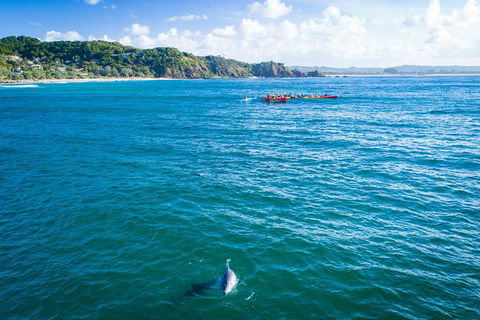 The Byron Bay Sea Kayak Tour - Sydney 4u 2