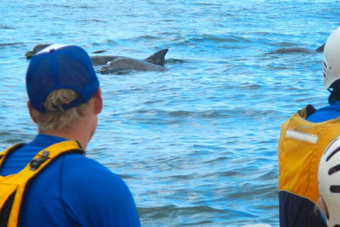The Byron Bay Sea Kayak Tour - Sydney 4u 4