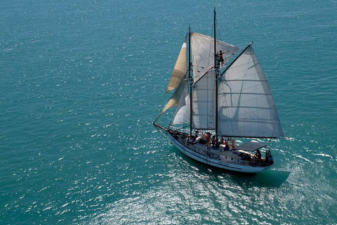 Whitehaven Beach Sailing And Snorkeling Cruise - Accommodation Sydney 1