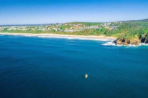 2-Hour Guided Whale Watching Tour At Noosa - Sydney 4u 4