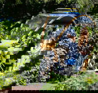 Adelaide 90-Minute Pedicab Tour Scenic Green  River Experience - Sydney 4u