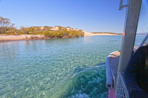 1770 Coastline Tour By LARC Amphibious Vehicle Including Picnic Lunch - Accommodation Sydney 5