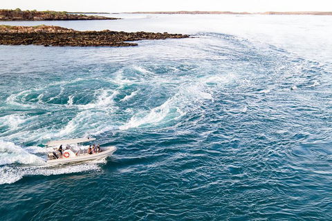Giant Tides Tour - Cygnet Bay Pearl Farm - Sydney 4u 4