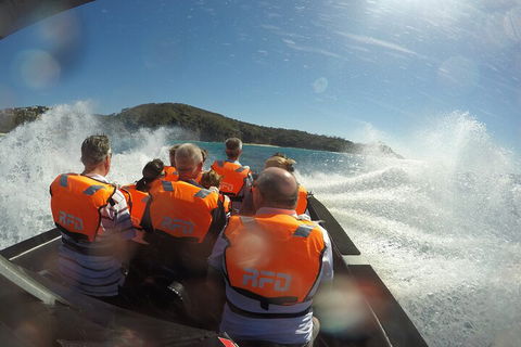 Noosa Thriller - 500hp Ocean Adventure Ride - Sydney 4u 3