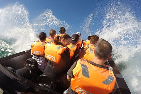 Noosa Thriller - 500hp Ocean Adventure Ride - Sydney 4u 4