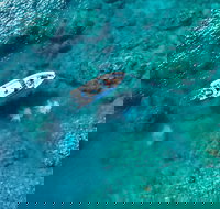 Premium Private Charter - Accommodation Sydney