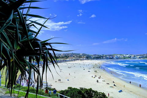 Sydney Secrets & Bondi Private 4 Hour Afternoon With 'Personalised Sydney Tours' - Accommodation Sydney 0