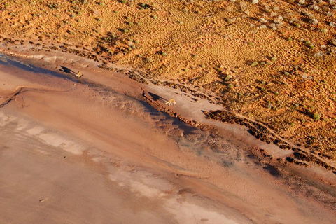 Scenic Flight: Lizard Safari - Sydney 4u 0