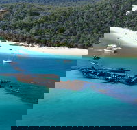 All Inclusive Tangalooma Wrecks Cruise Tour From Gold Coast - Sydney 4u