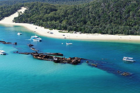 All Inclusive Tangalooma Wrecks Cruise Tour From Gold Coast - Accommodation Sydney 0