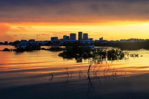 Tropical Light Sundowner Cruise With Drinks Included - Sydney 4u 0