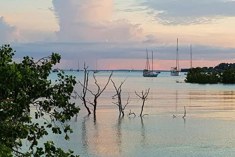 Tropical Light Sundowner Cruise With Drinks Included - Sydney 4u 2