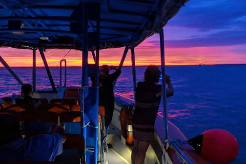 Tropical Light Sundowner Cruise With Drinks Included - Sydney 4u 5