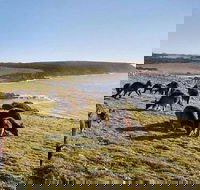 Kangaroo Island Personal Group Tours - Sydney 4u