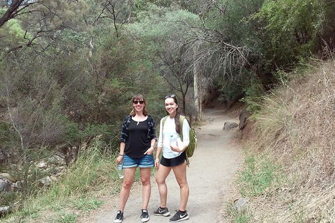 Self-Guided Waterfall Gully To Mount Lofty Hike From Adelaide - Sydney 4u 4