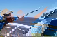 Chill Out at Byron Bay from Gold Coast, Surfers Paradise