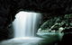 Natural Bridge Glow Worm Night Tour From Gold Coast - thumb 0