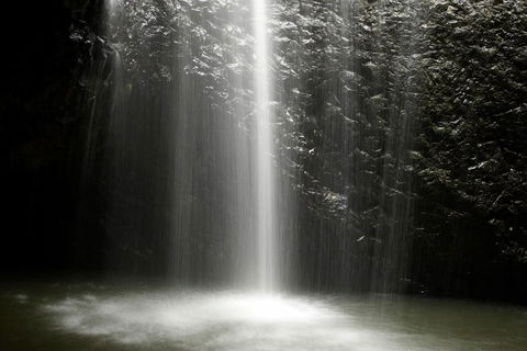 Natural Bridge Glow Worm Night Tour From Gold Coast - Accommodation Sydney 2