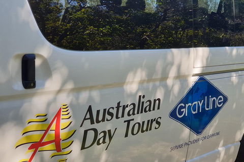 Natural Bridge Glow Worm Night Tour From Gold Coast - Accommodation Sydney 5
