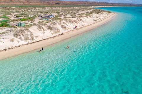 Ningaloo In A Day - Full Day Hike And Snorkel Tour With Lunch - Sydney 4u 0