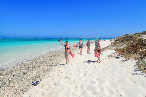 Ningaloo In A Day - Full Day Hike And Snorkel Tour With Lunch - Sydney 4u 1