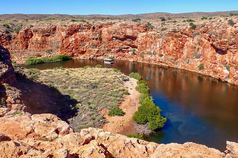 Ningaloo In A Day - Full Day Hike And Snorkel Tour With Lunch - Sydney 4u 2