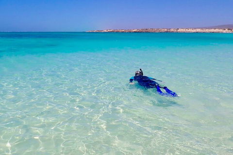 Ningaloo In A Day - Full Day Hike And Snorkel Tour With Lunch - Sydney 4u 4