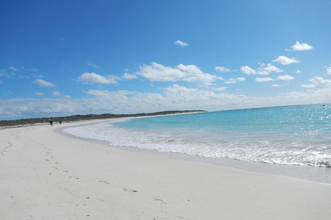 Shipwreck Special Nature Tour/Half Day Tour - Accommodation Sydney 0