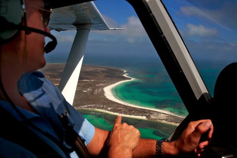 Shipwreck Special Nature Tour/Half Day Tour - Accommodation Sydney 1