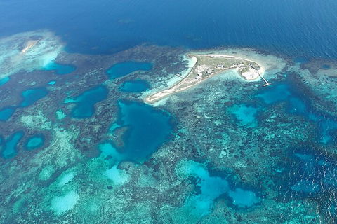 Shipwreck Special Nature Tour/Half Day Tour - Accommodation Sydney 5
