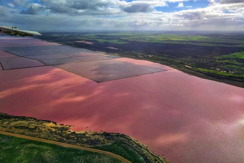 Kalbarri, Pink Lake And Abrolhos Islands Nature Tour - Accommodation Sydney 1
