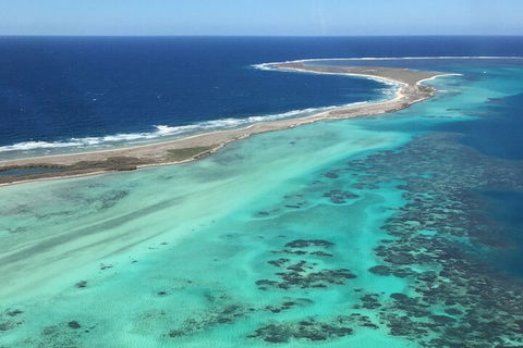 Kalbarri, Pink Lake And Abrolhos Islands Nature Tour - Accommodation Sydney 3