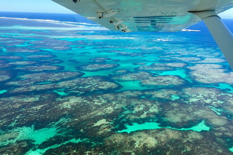 Kalbarri, Pink Lake And Abrolhos Islands Nature Tour - Accommodation Sydney 5